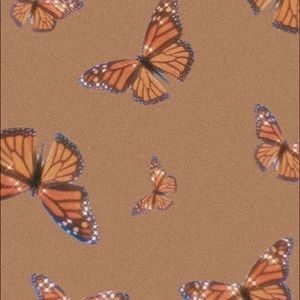 Meet your Posher, ✨ sarena